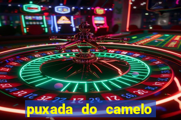 puxada do camelo jogo do bicho